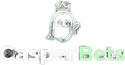 Casper Bets